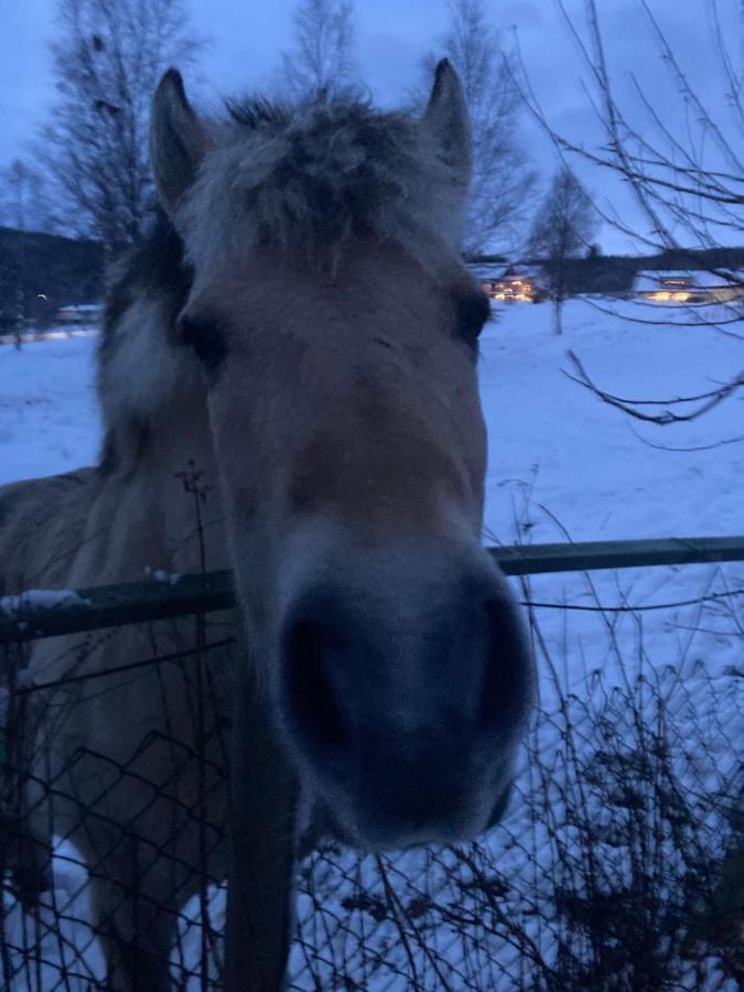 Bed and Breakfast Line Pa Hauane1 Volda Экстерьер фото