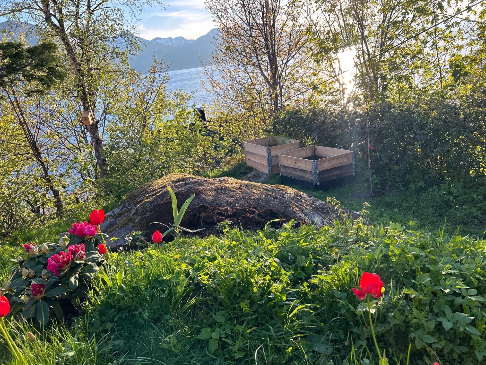 Bed and Breakfast Line Pa Hauane1 Volda Экстерьер фото